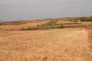 Terreno agro-seminativo Selargius