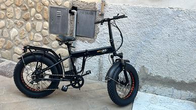 Bicicletta elettrica