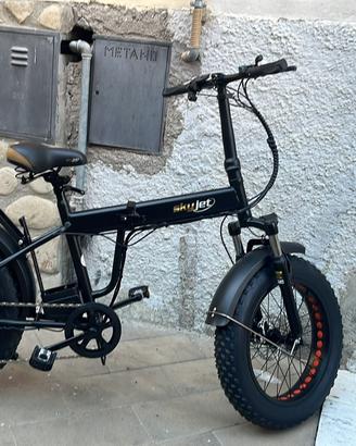 Bicicletta elettrica