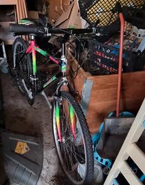 mountanbike 
