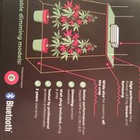 lampada led jungle Jackson 