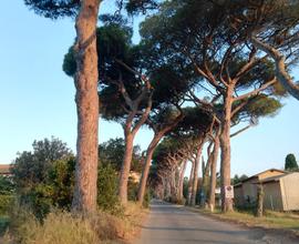 Casetta vicino al mare