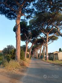 Casetta vicino al mare