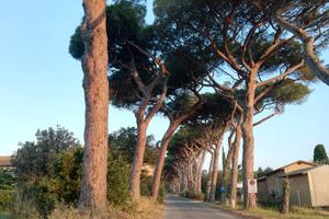 Casetta vicino al mare