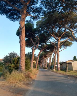 Casetta vicino al mare