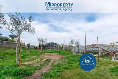 Immobile di 5000 m² con più di 5 locali a Frascati