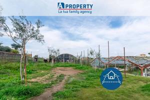 Immobile di 5000 m² con più di 5 locali a Frascati
