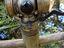 Immagine 3
