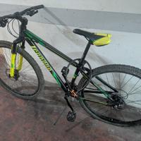 MTB legnano 29 