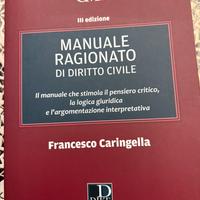 Manuale ragionato diritto civile