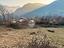 Immagine 14