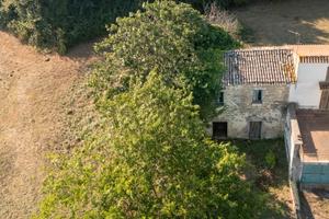 Ruviano , terreno agricolo di 5mila m con rustico 