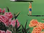Immagine 5