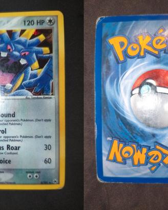 Carta Pokémon Exploud HL6 ENG holo