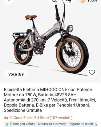 bici elettrica 