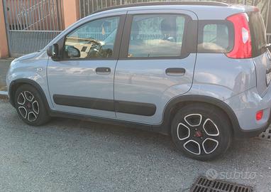 privato fiat panda