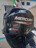 motore-mercury-pro-40-hp-usato