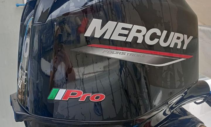 Motore Mercury PRO 40 HP usato