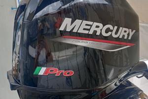 Motore Mercury PRO 40 HP usato