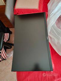 monitor pholilips con audio 