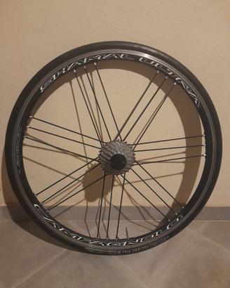 Ruote corsa Campagnolo SHAMAL ULTRA 2 WAY FIT