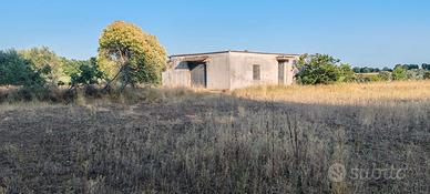 Terreno agricolo a Nepi