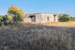 Terreno agricolo a Nepi
