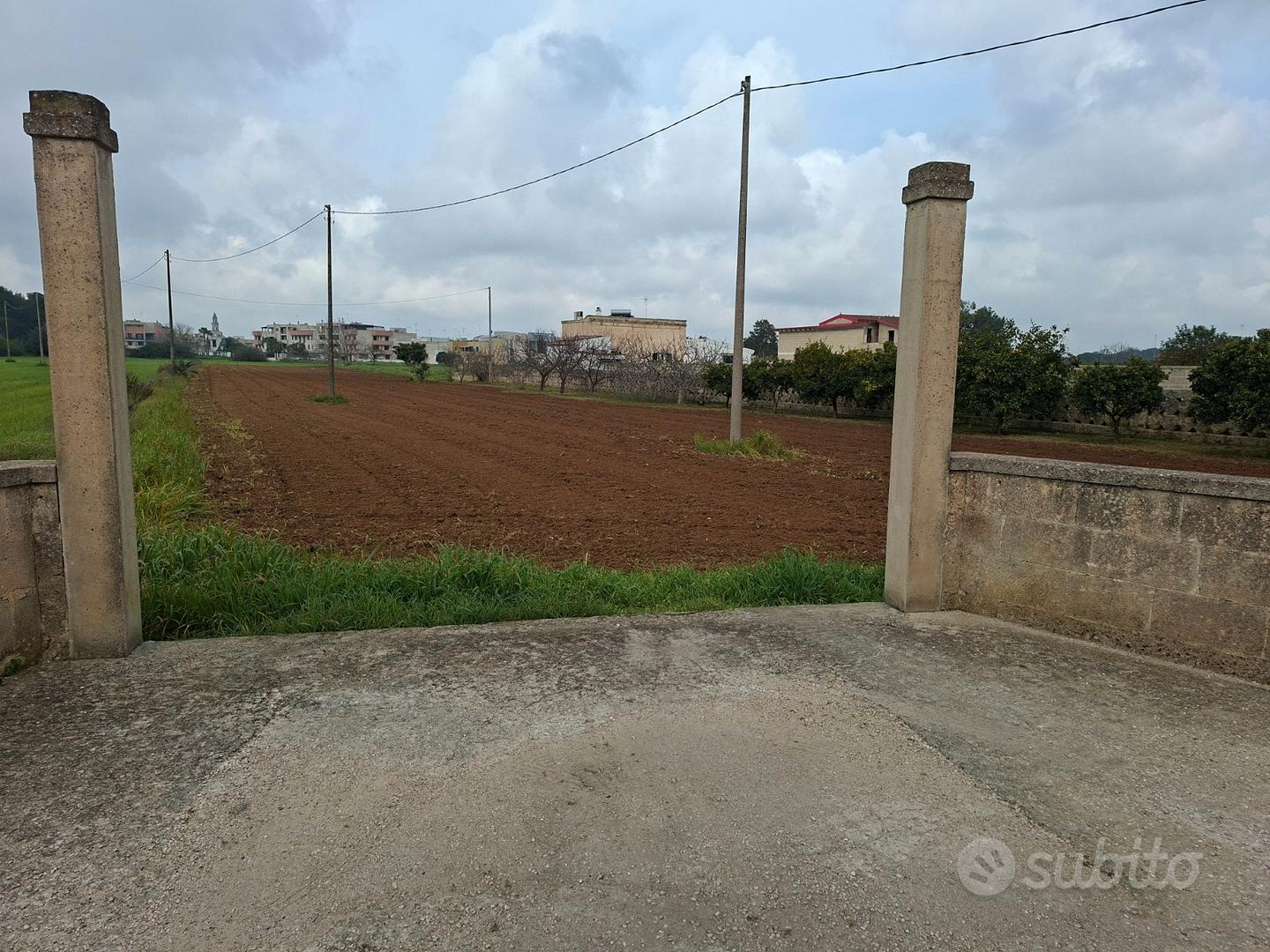 Terreno agricolo - Vista 4