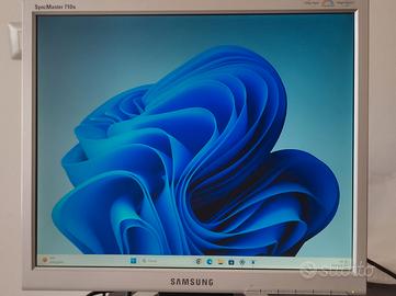 Monitor Samsung SyncMaster 710n