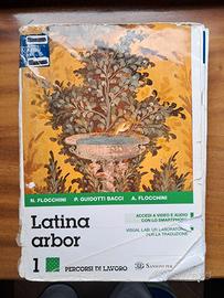 Libro latino "Latina Arbor 1", ISBN: 9788838329234