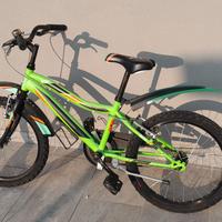 Bicicletta ruote da 20 pollici