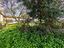 Immagine 14