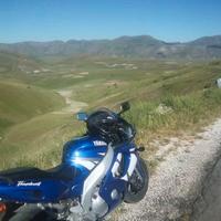 yamaha yzf thundercat 600