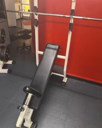 Panca Inclinata Professionale Panatta Sport