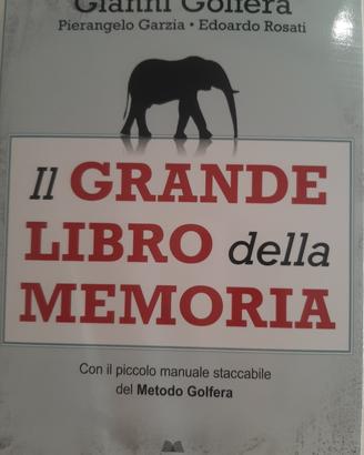 Il grande libro della memoria