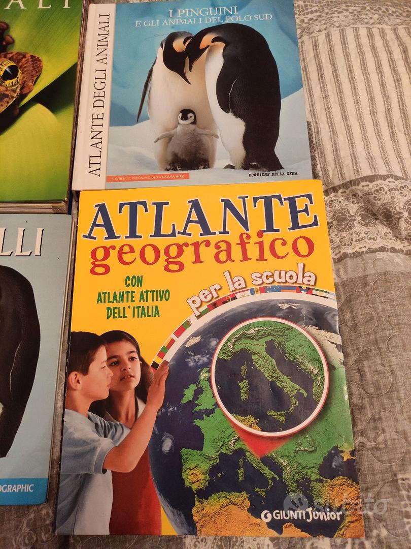 Atlante Geografico - Pinguino