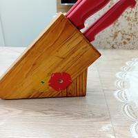 ceppo in legno con coltelli 