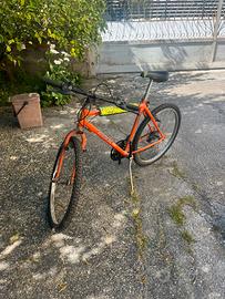 Bicicletta