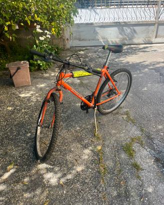 Bicicletta