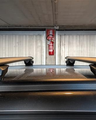 Barre portatutto per auto Althura 