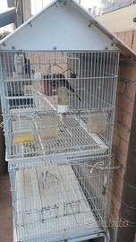 voliera per uccelli 