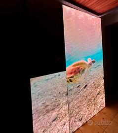 Ledwall cabinet 50x50 P3.9