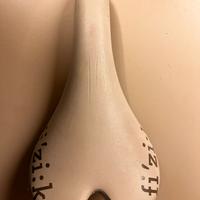 Sella Fizik lady carrello carbonio