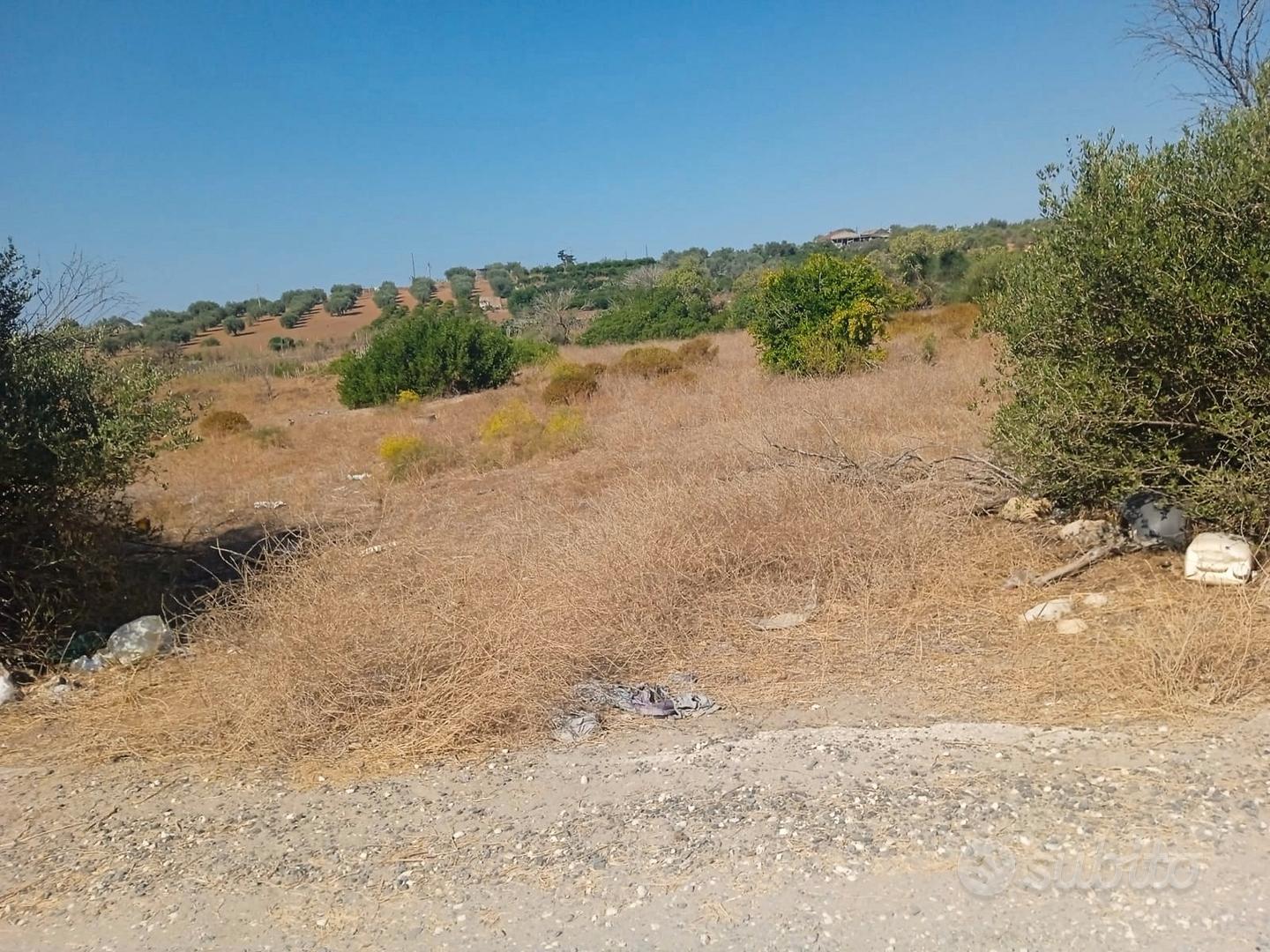 Terreno agricolo - Vista 4