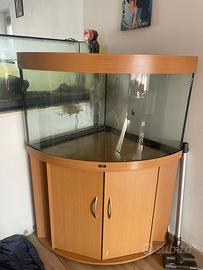 Acquario angolare con filtri 180 L