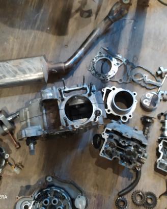 Telaio e pezzi motore TM 250 4t