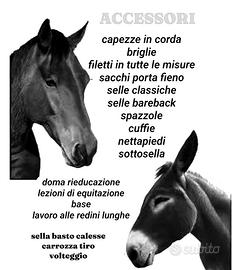 PONY & CAVALLI