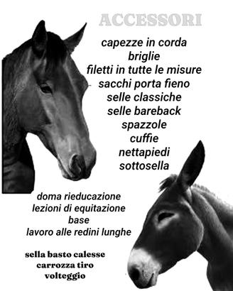 PONY & CAVALLI