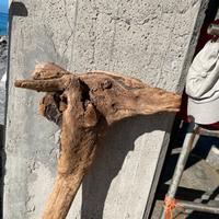 Statua in legno muso di giraffa