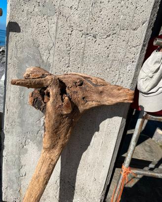 Statua in legno muso di giraffa